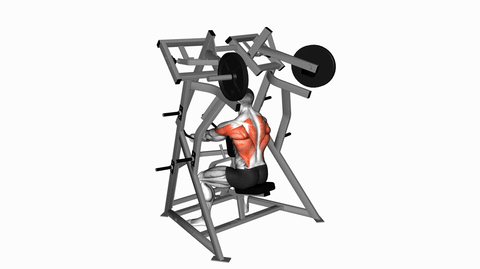 Lever Low Row - Neutral Grip (Plate Loaded)