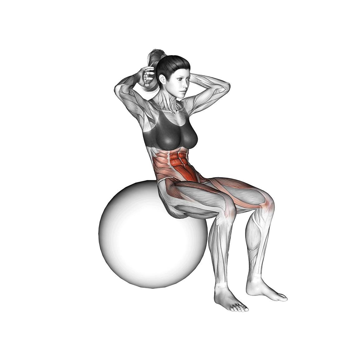 Sit Up