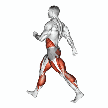 Corrida (cardio, nenhum)
