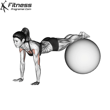 Flexão Declinado (Bola de Estabilidade)