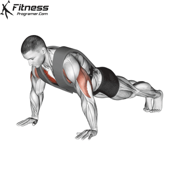 Flexão de Braço
