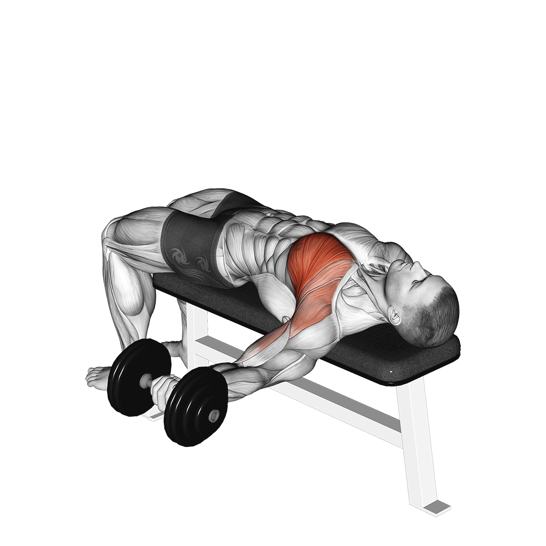 Fly de Peito (Halter - unilateral)
