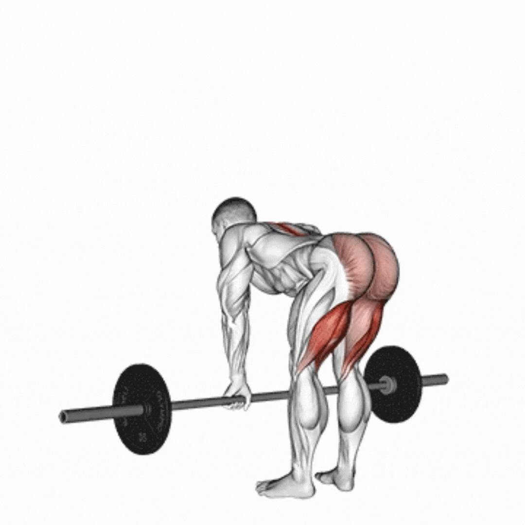Levantamento Terra Romeno (Kettlebell)