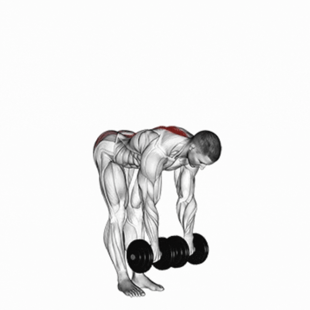 Stiff (Halteres)
