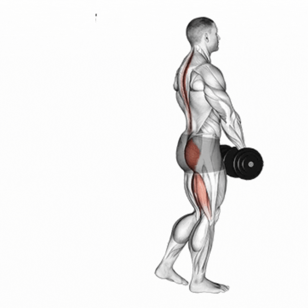 Levantamento Terra Romeno (Halter - unilateral)