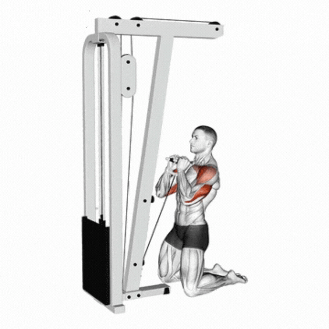 Overhead Press (Cable - ajoelhado)