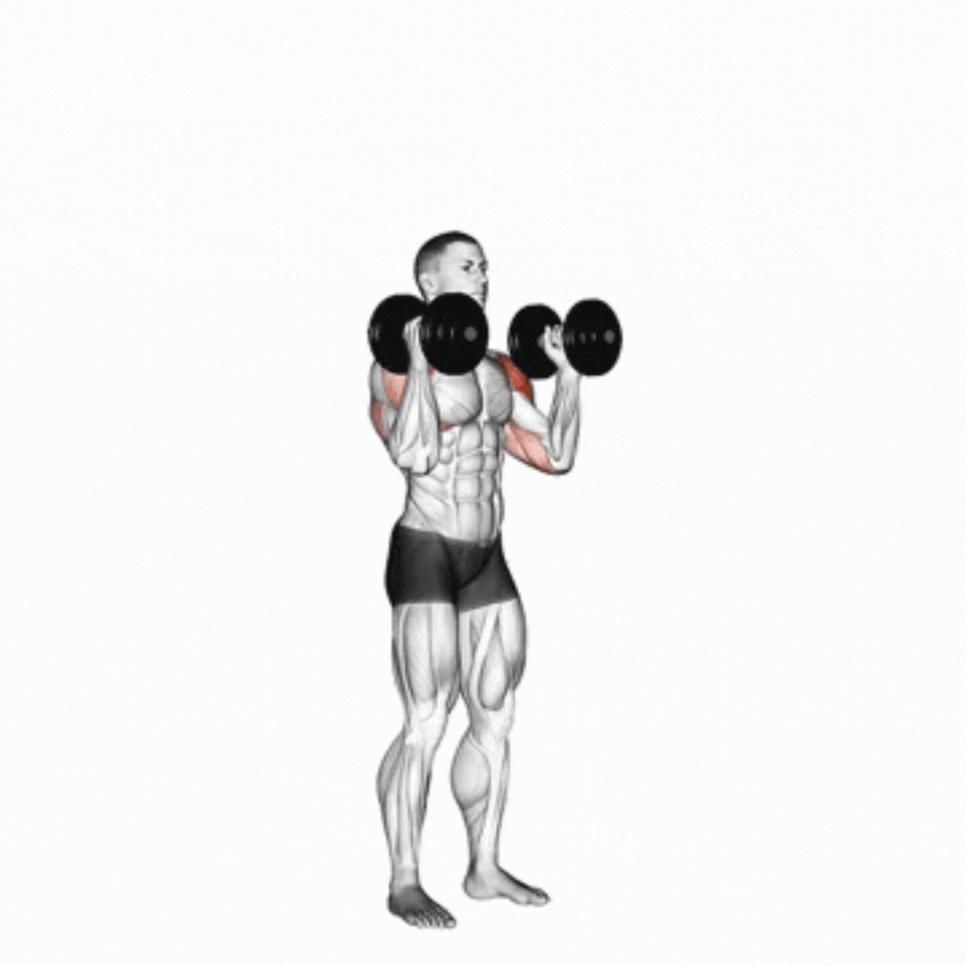 Overhead Press (Dumbbell - em pé)