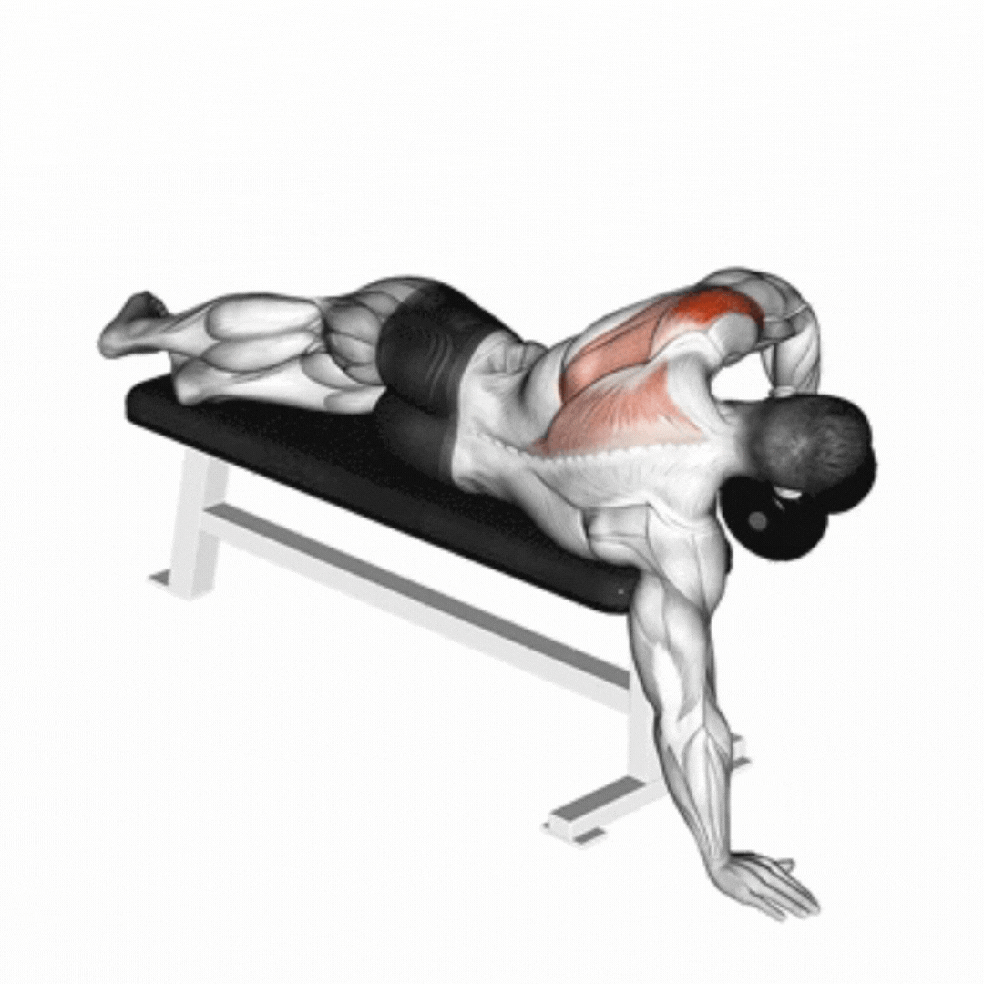 Elevação Lateral de Ombros (Dumbbell - deitado)