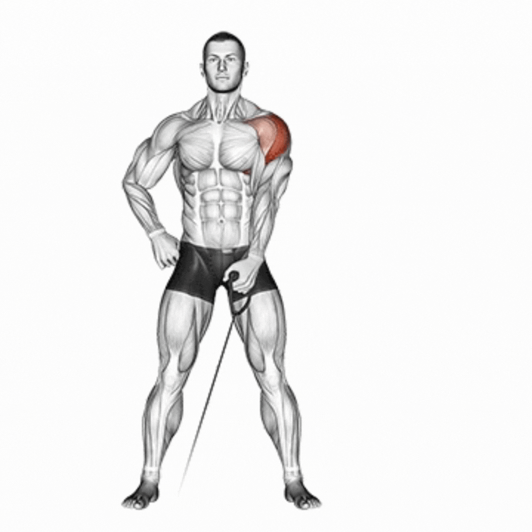 Lateral Raise (Cable - em pé)
