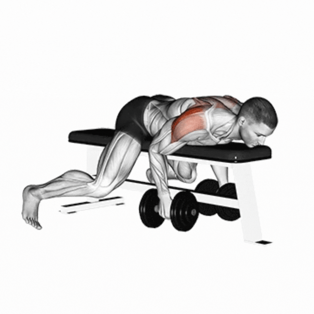 Elevação Lateral (Halter - deitado)