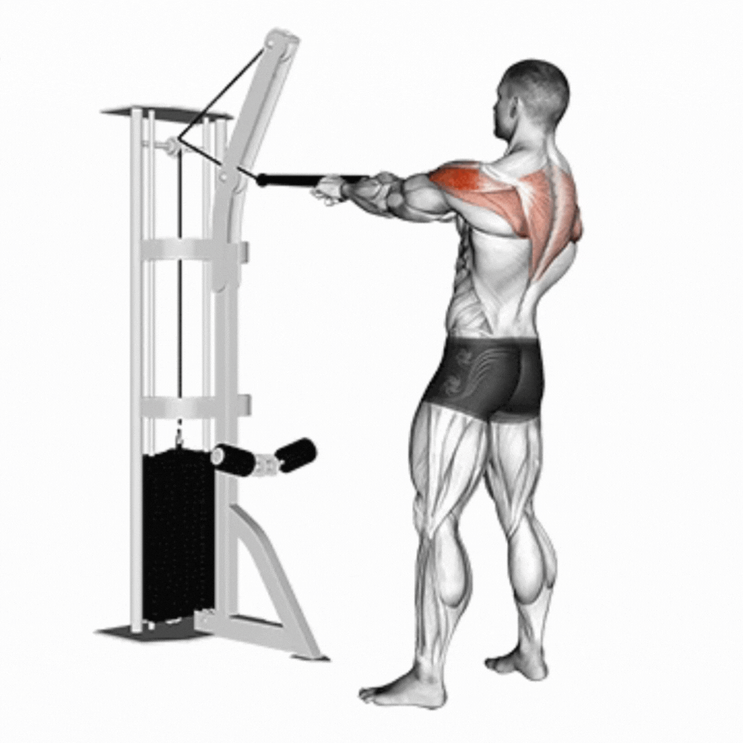 Face Pull (Cabo - com corda)